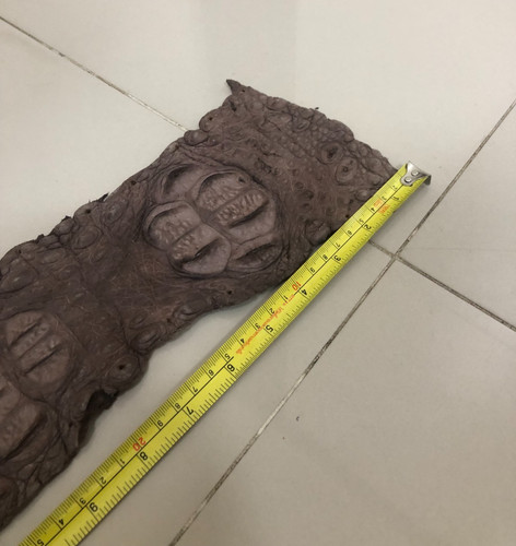 Real genuine crocodile - real,